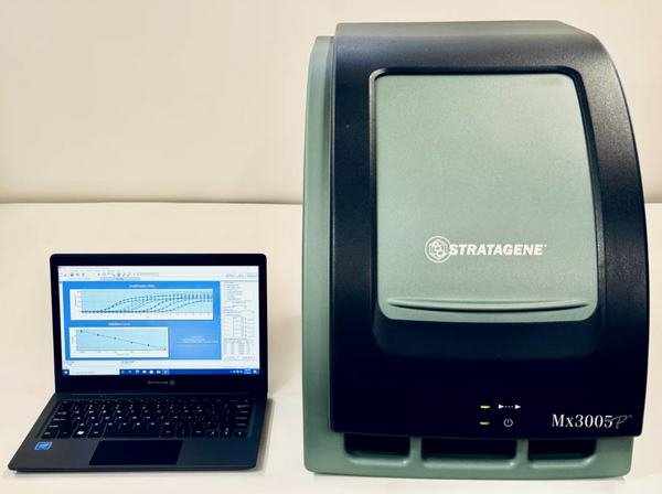 Stratagene Mx3005p Real-Time PCR (5-channel) + Computer - Calibrated & Certified